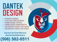 DanTek Website Development image 1